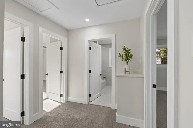 a view of a hallway with potted plants