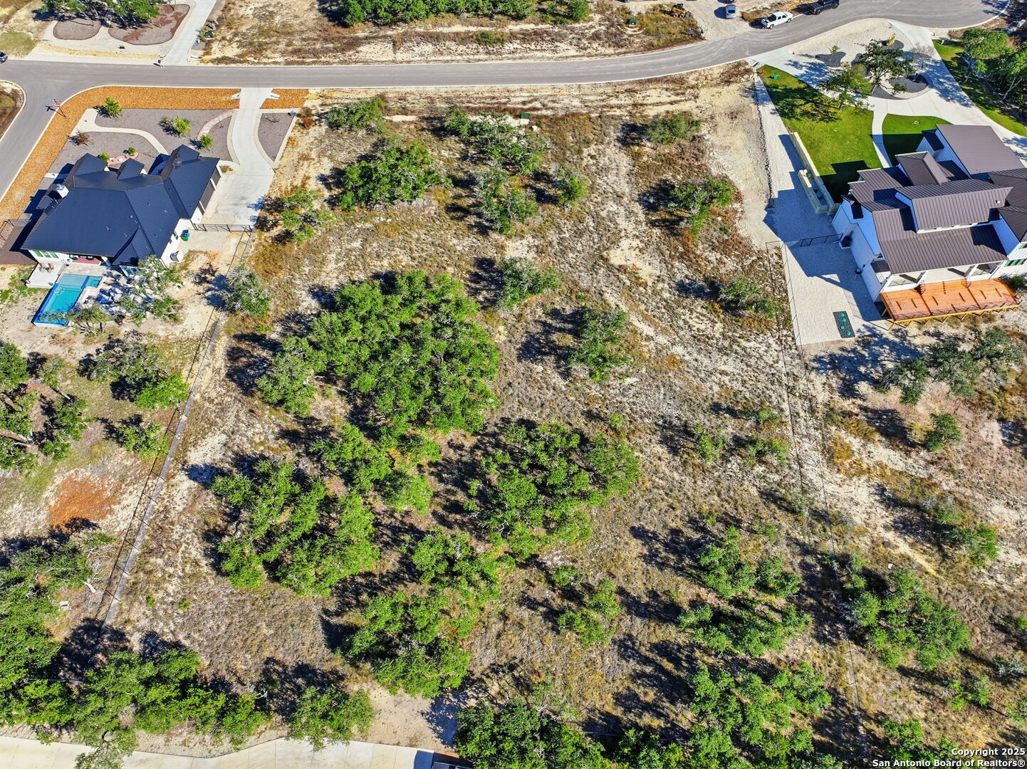 34617 Ansley Rdg Trail Bulverde, TX 78163 - Photo 11 of 14 a view of a yard with a tree