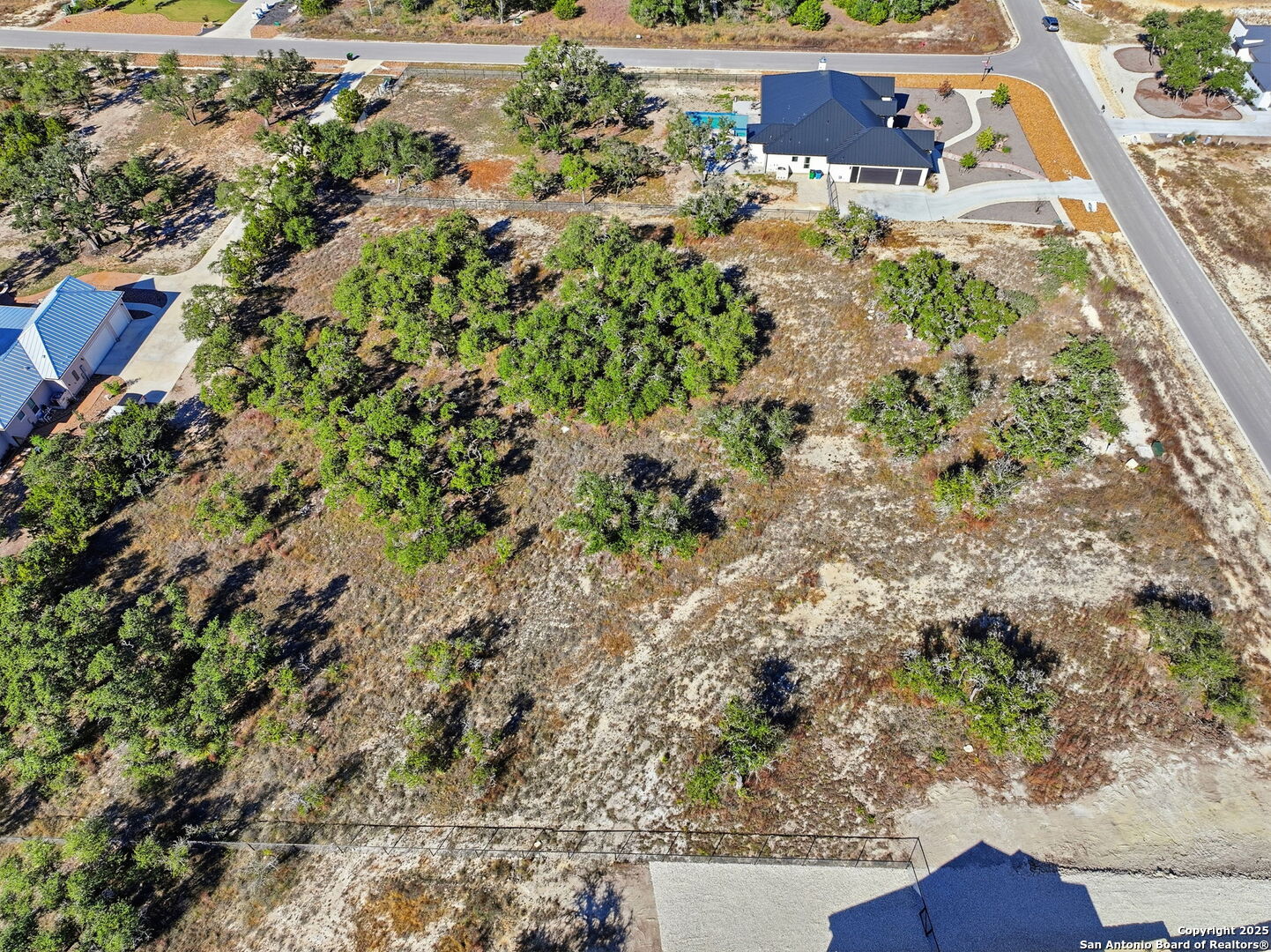 34617 Ansley Rdg Trail Bulverde, TX 78163 - Photo 7 of 14 a view of a yard with plants