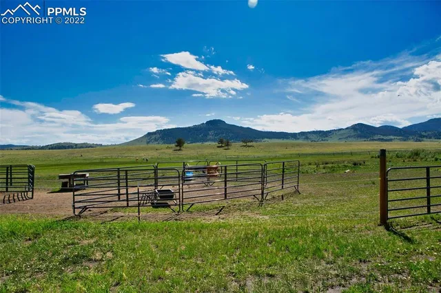 a view of a garden with lawn chairs