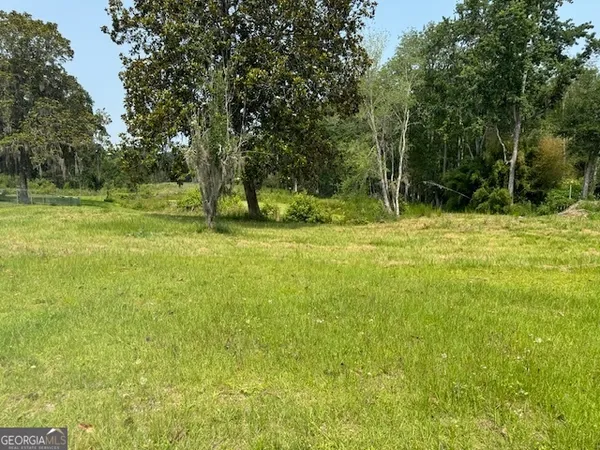 a view of a yard with a trees