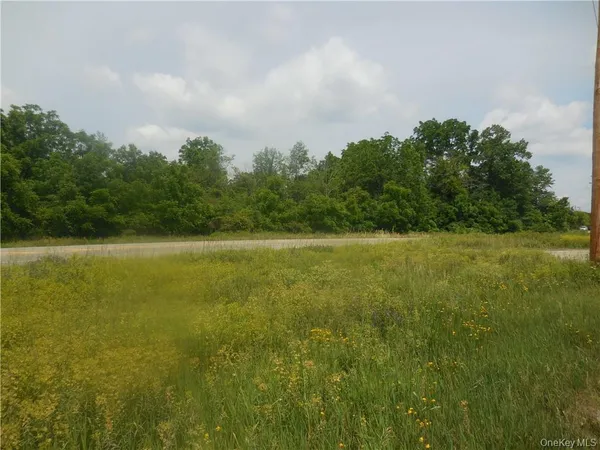 a view of a road with a yard