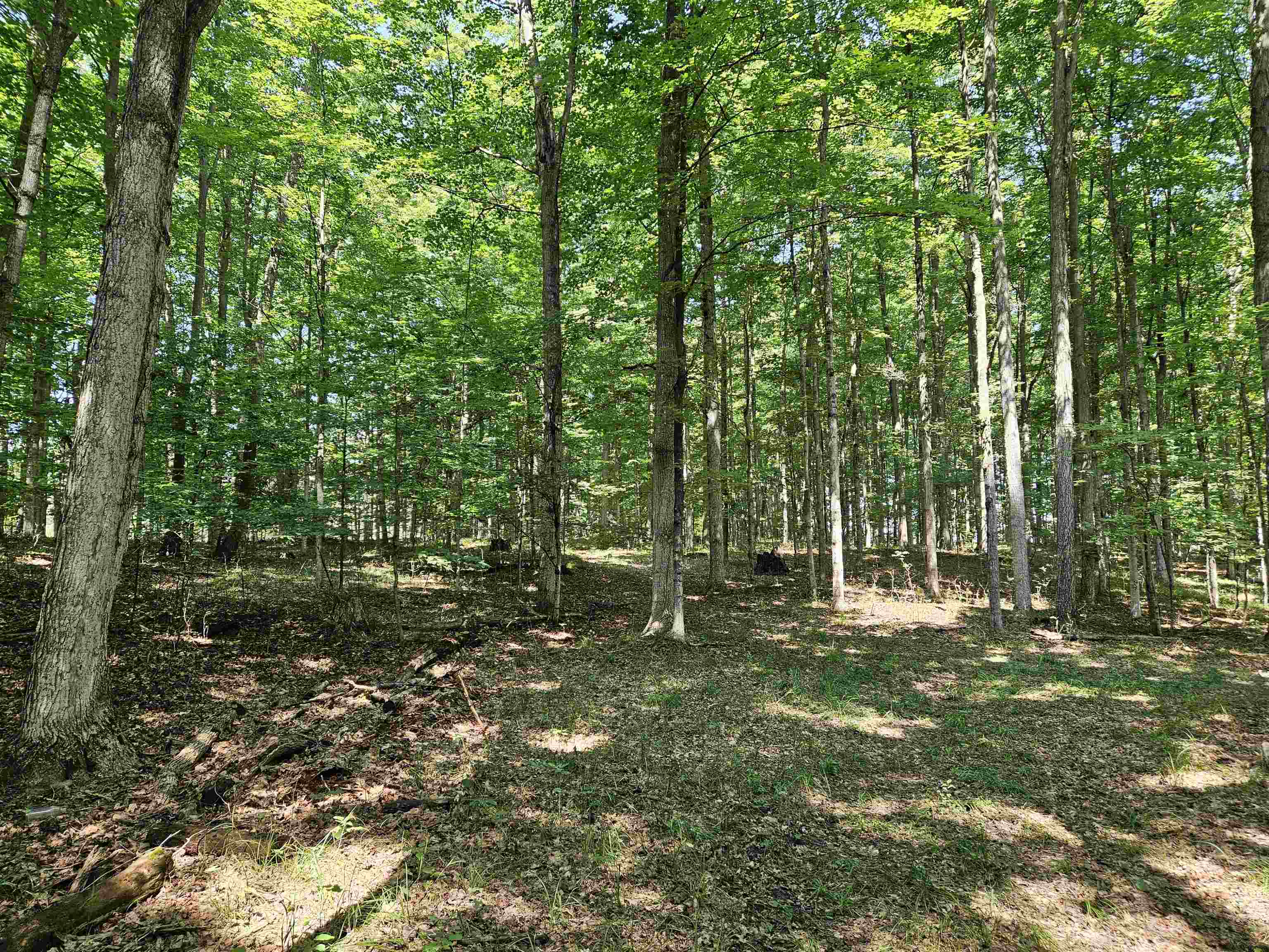 Tbd Tbd Willsey Road Traverse City, MI 49696 - Photo 8 of 22