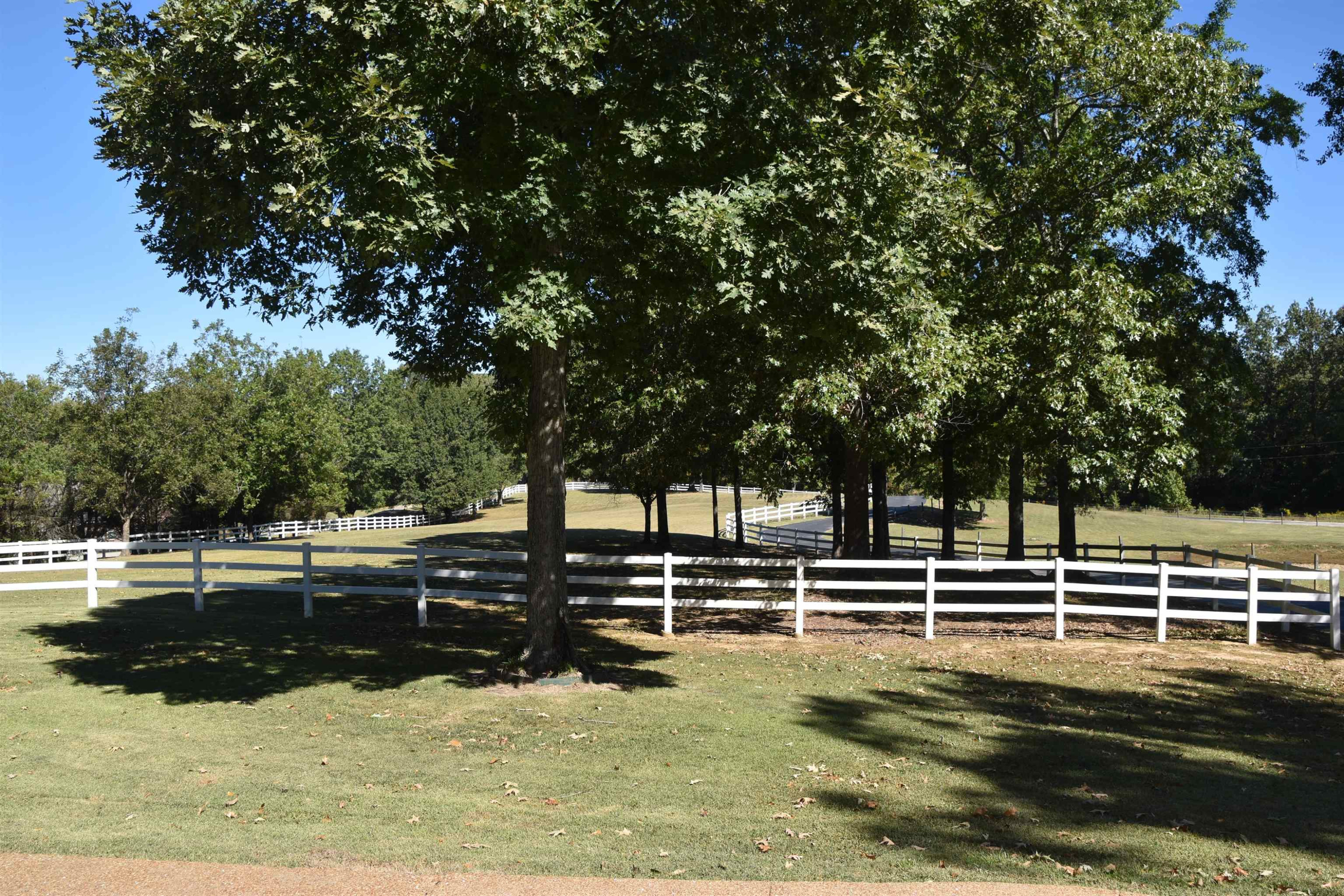 168 Johnston Loop Road Jackson, TN 38301 - Photo 2 of 40 Photo 2