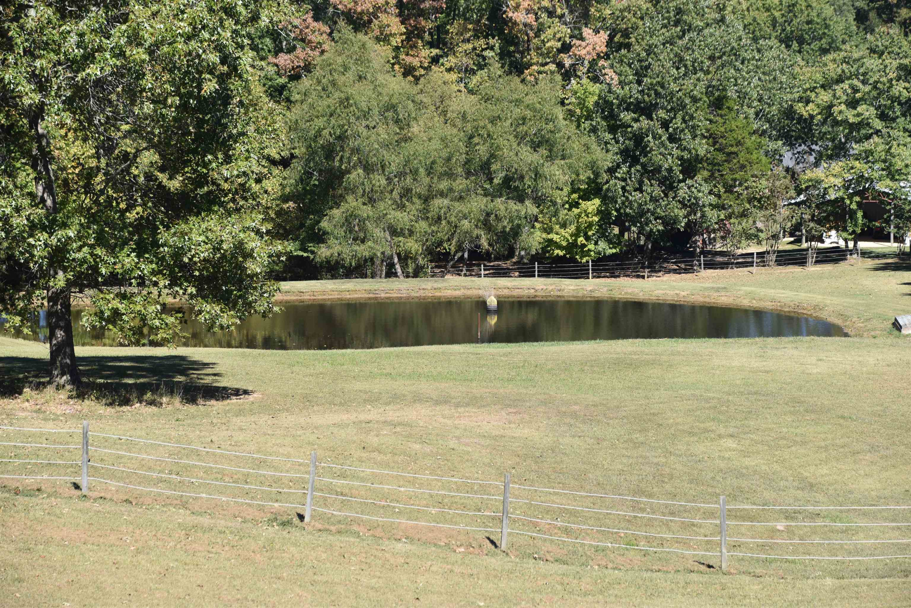 168 Johnston Loop Road Jackson, TN 38301 - Photo 33 of 40 Photo 33