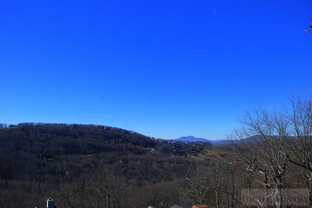 1460 Grandview Drive Extension Boone, NC 28607 - Photo 6 of 16 Gallery Image 6
