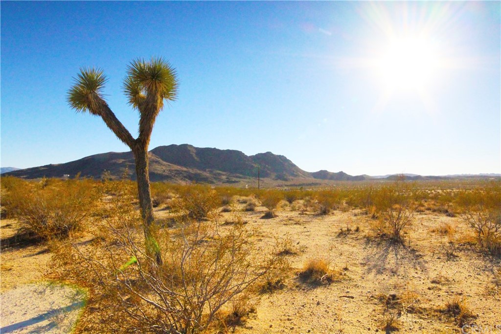 3374 Sunnyhill Road Joshua Tree, CA 92252 - Photo 1 of 1 a view of lake and mountain