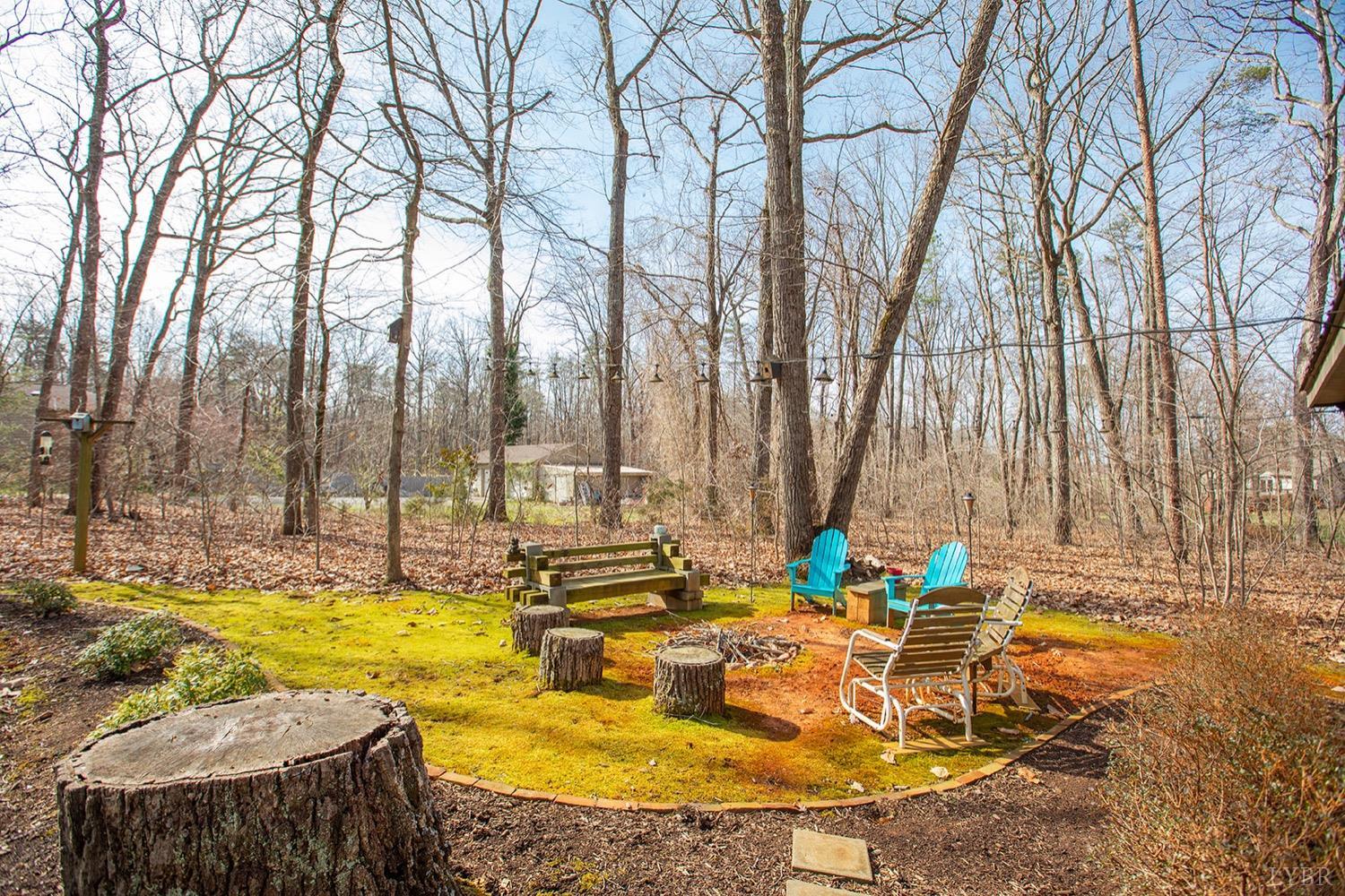 2096 Austin Mill Road Evington, VA 24550 - Photo 38 of 44