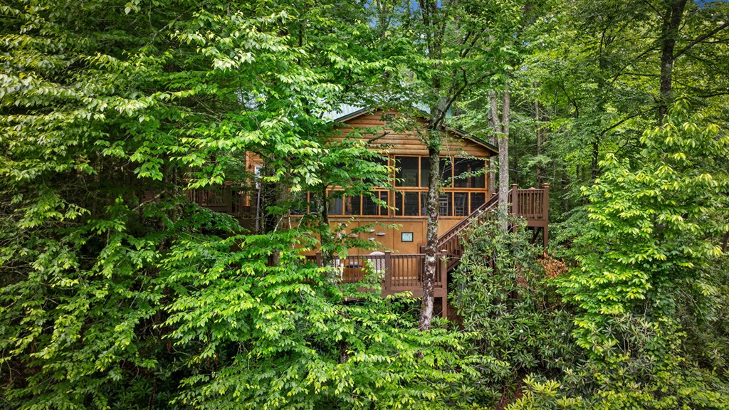 184 Fightingtown Drive Blue Ridge, GA 30513 - Photo 45 of 53