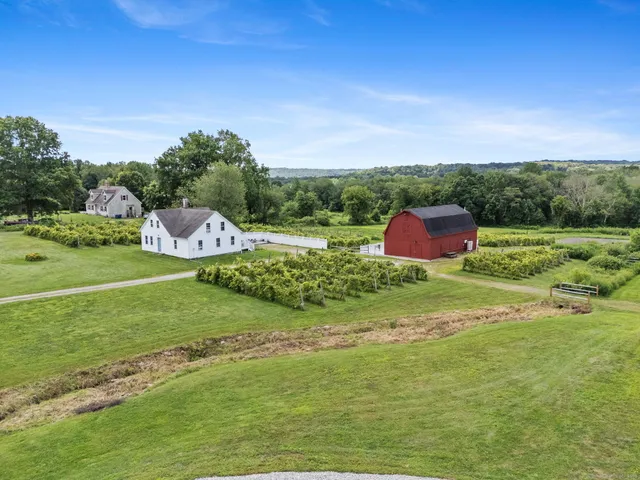 a garden view with a outdoor space
