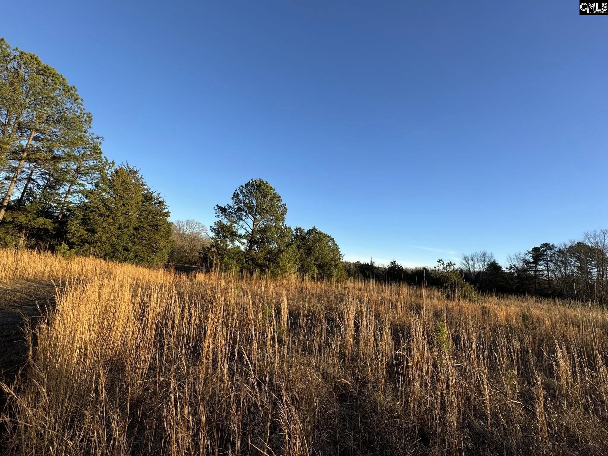 150 Floyd Lanford Road Woodruff, SC 29388 - Photo 17 of 65
