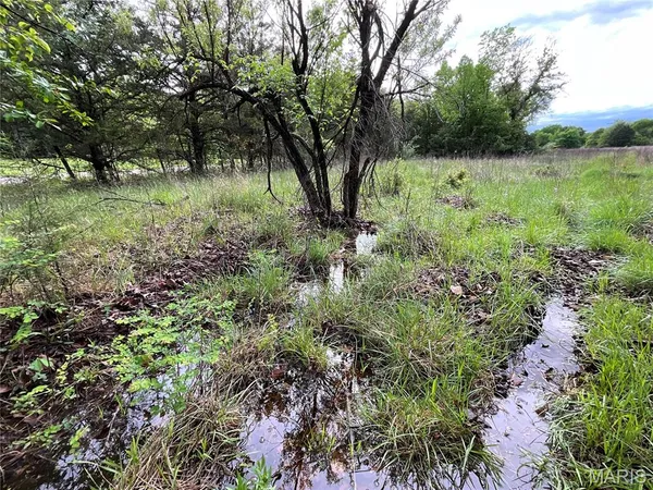 $1,025,000 | 0 County Road 6750, West Plains, MO 65775