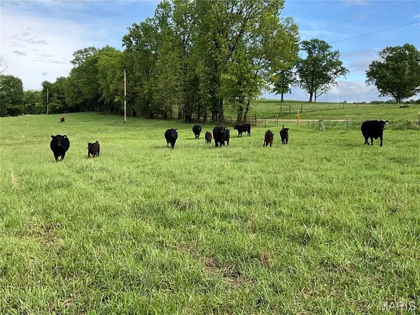 $1,025,000 | 0 County Road 6750, West Plains, MO 65775