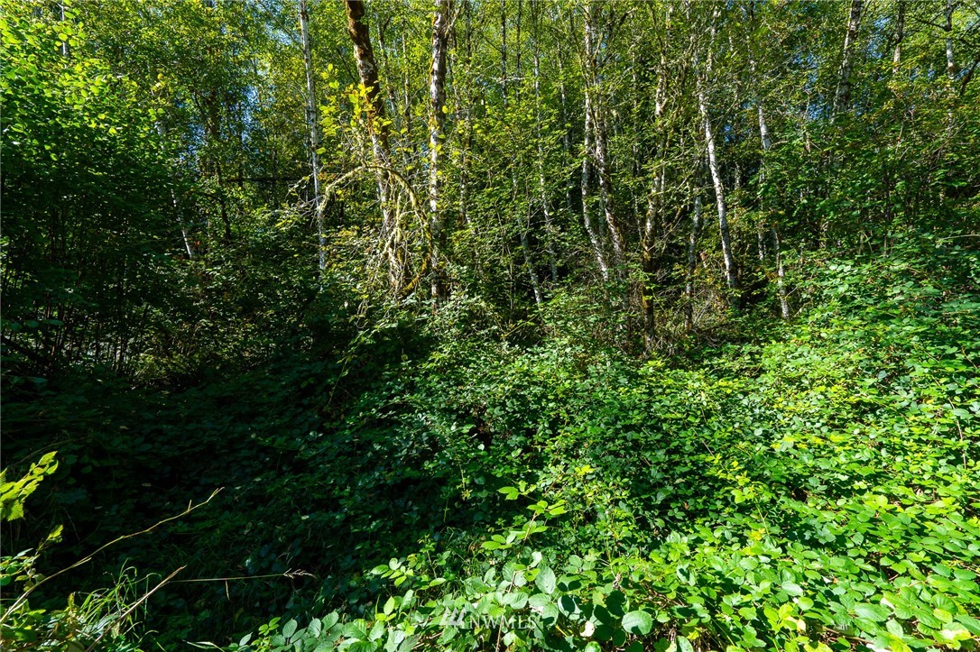 360-2 2 Hewitt Road Chehalis, WA 98532 - Photo 4 of 17