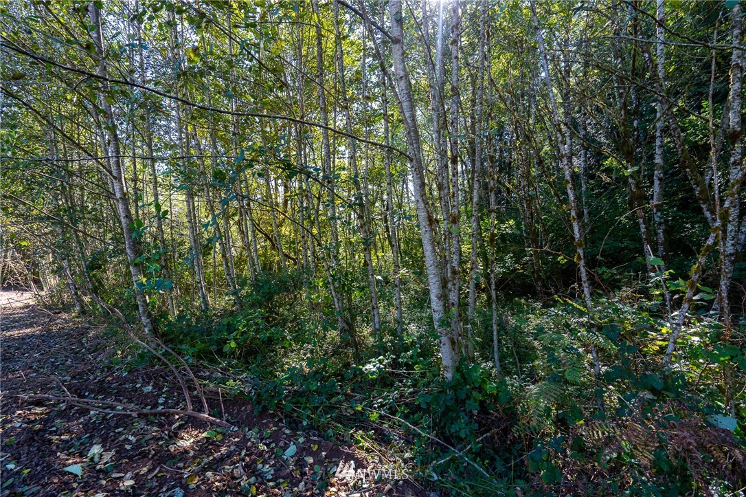 360-2 2 Hewitt Road Chehalis, WA 98532 - Photo 5 of 17