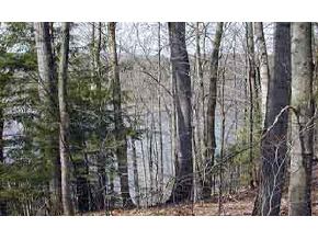 * Woodsville Road Monroe, NH 03771 - Photo 2 of 6