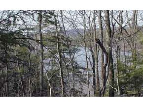 * Woodsville Road Monroe, NH 03771 - Photo 3 of 6