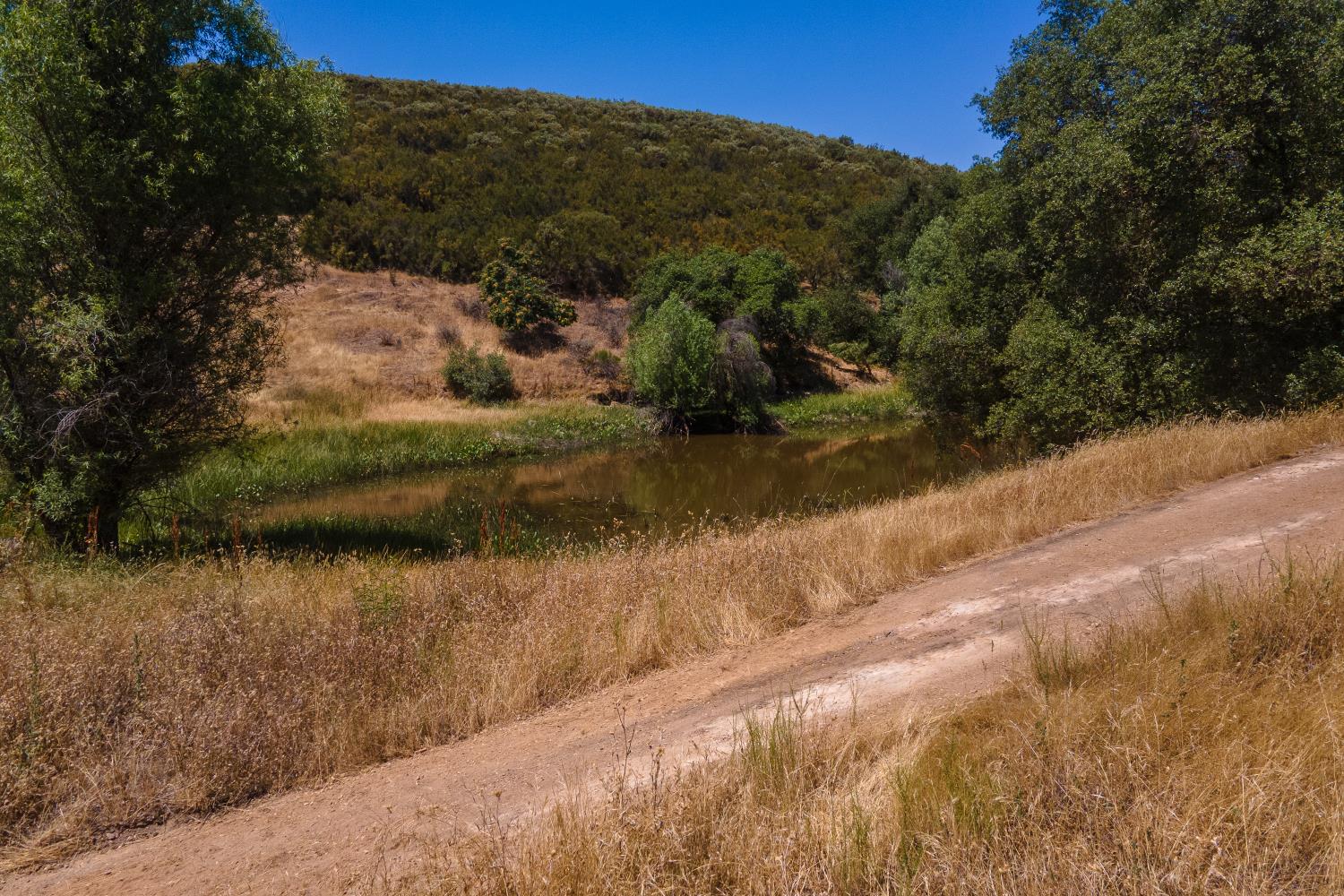 0 Stony Creek Road Ione, CA 95640 - Photo 18 of 70