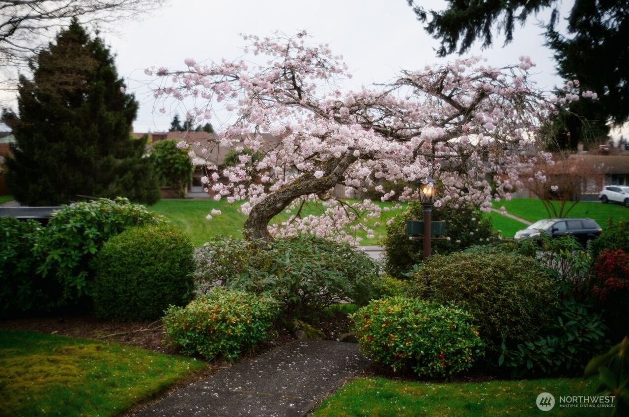 4915 Rucker Avenue Everett, WA 98203 - Photo 36 of 36