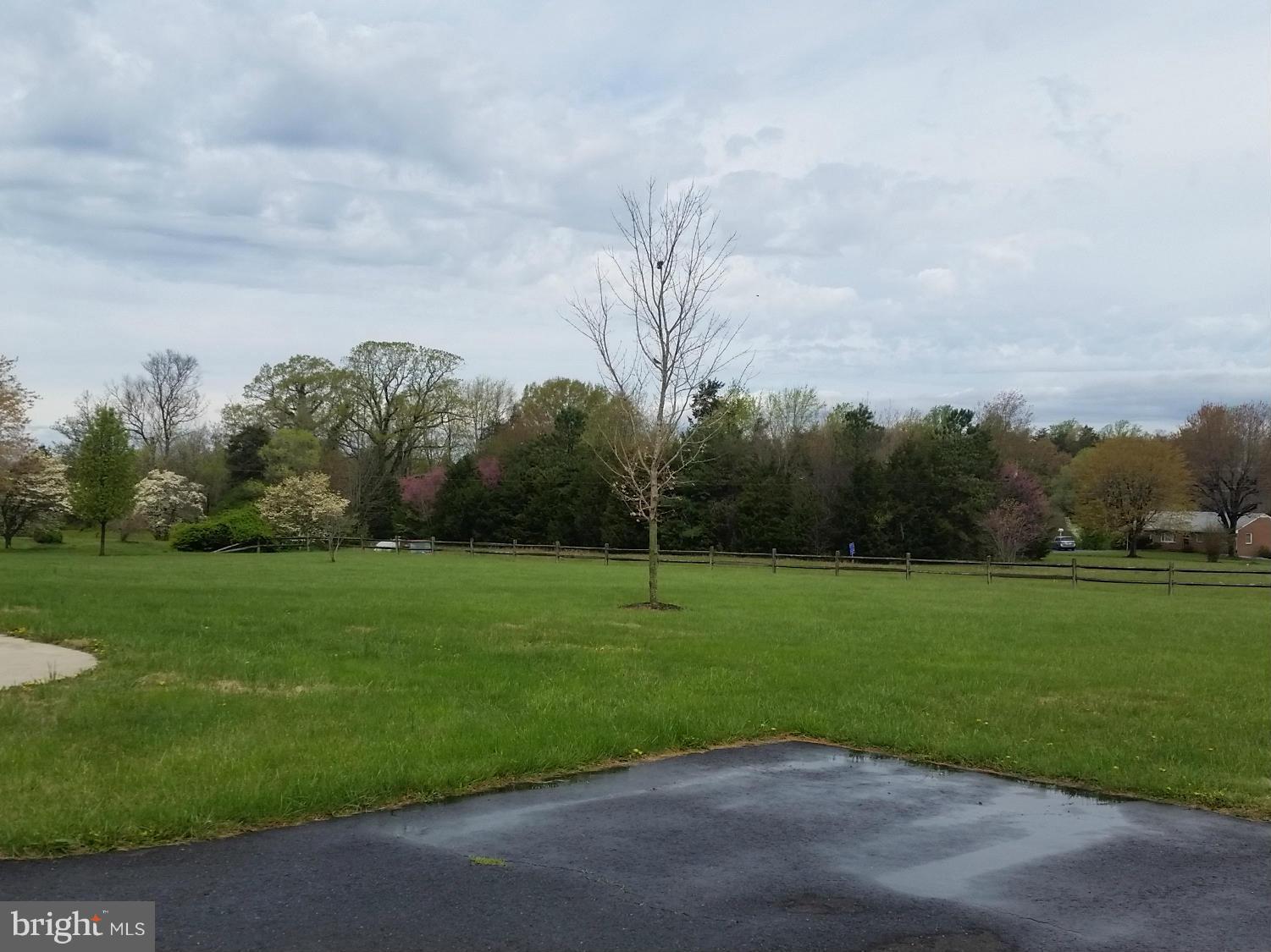 CLEARED 2.75 ACRE YARD!!  TENNIS COURT MAYBE?