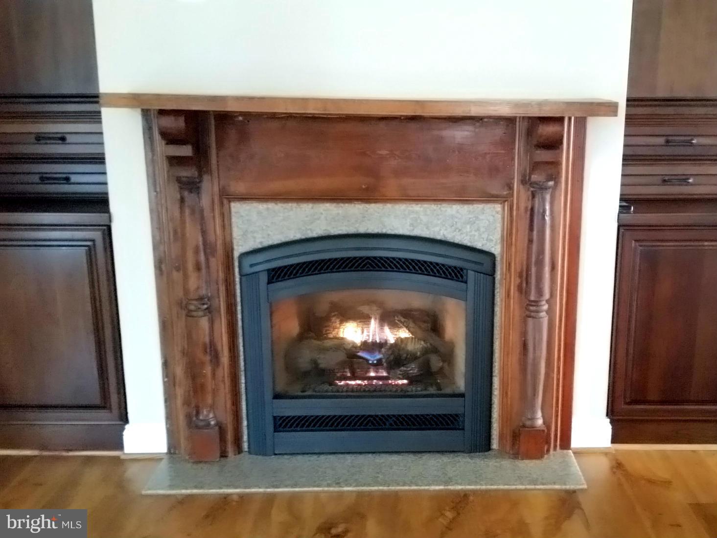 26377 Independence Road Rhoadesville, VA 22542 - Photo 16 of 30 HERRING BONE DESIGN GAS FIREPLACE W/ BUILT-INS