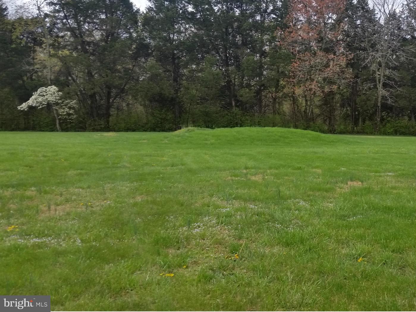 26377 Independence Road Rhoadesville, VA 22542 - Photo 29 of 30 level huge yard for family fun