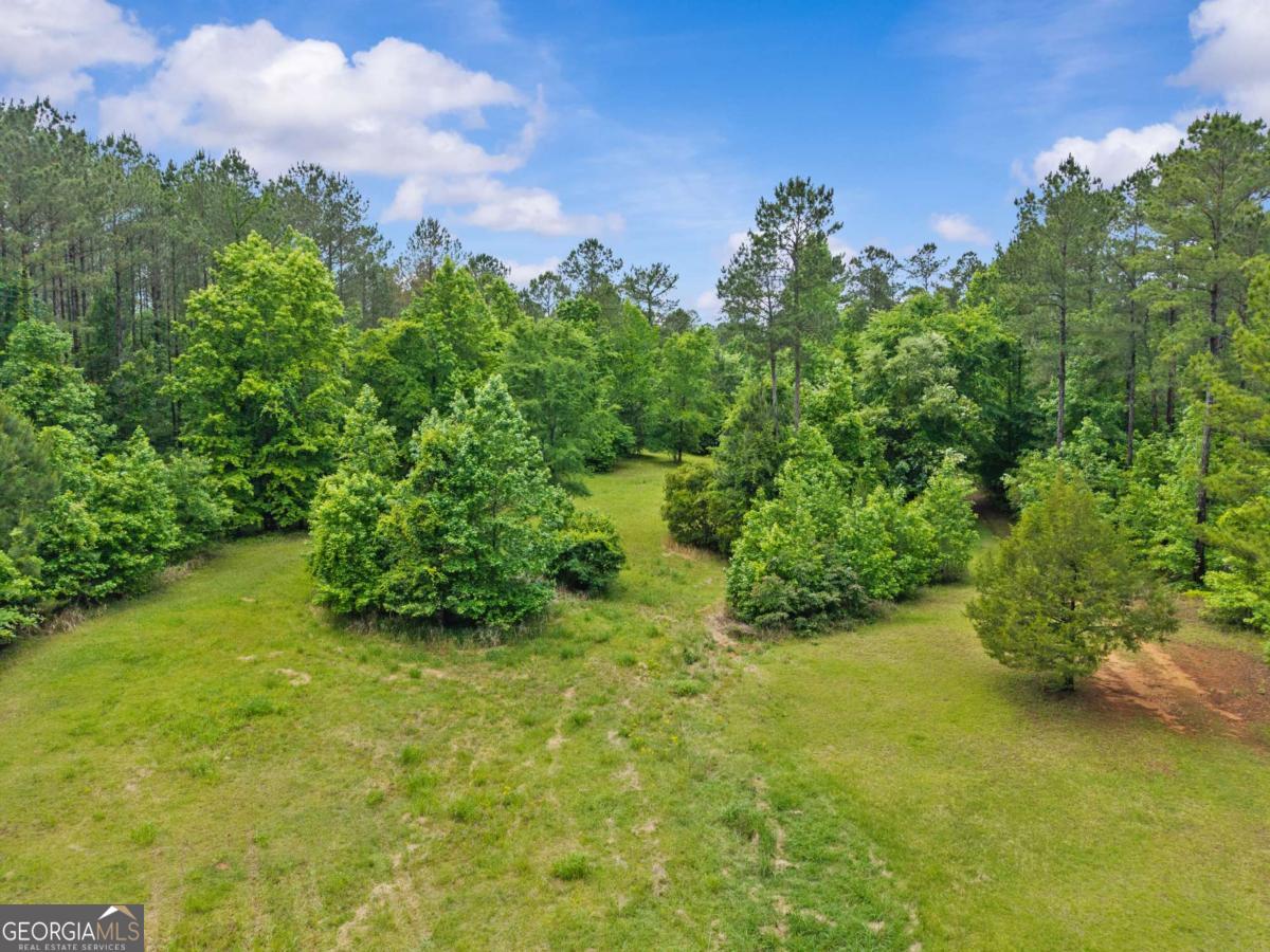 153 Twisting Hill Road Eatonton, GA 31024 - Photo 29 of 35