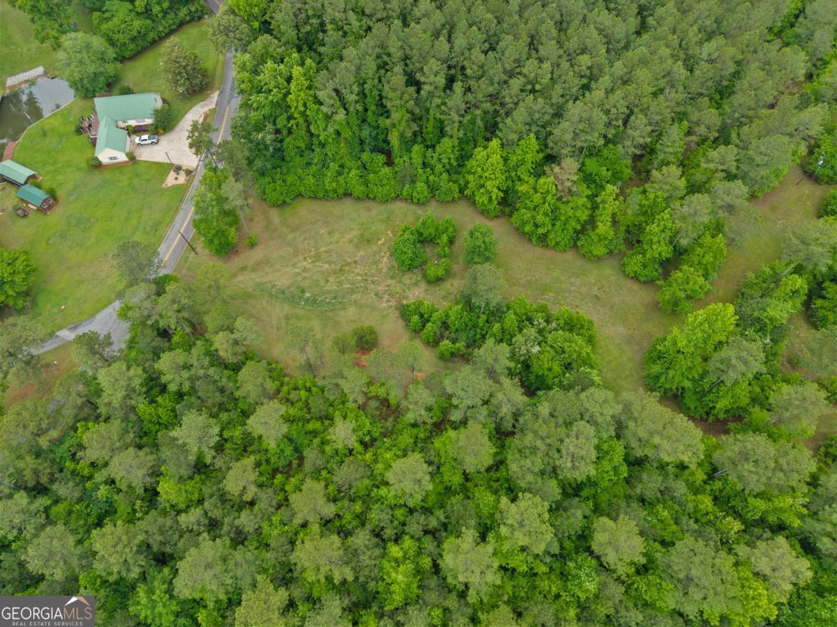 153 Twisting Hill Road Eatonton, GA 31024 - Photo 34 of 35