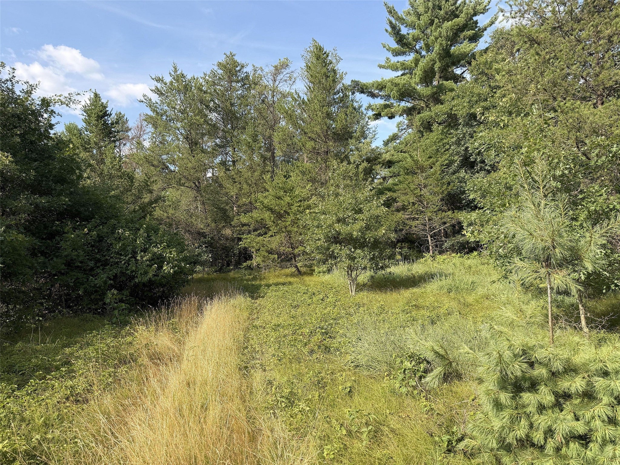 13160 Camp Road Fairchild, WI 54741 - Photo 20 of 32 Gallery Image 20