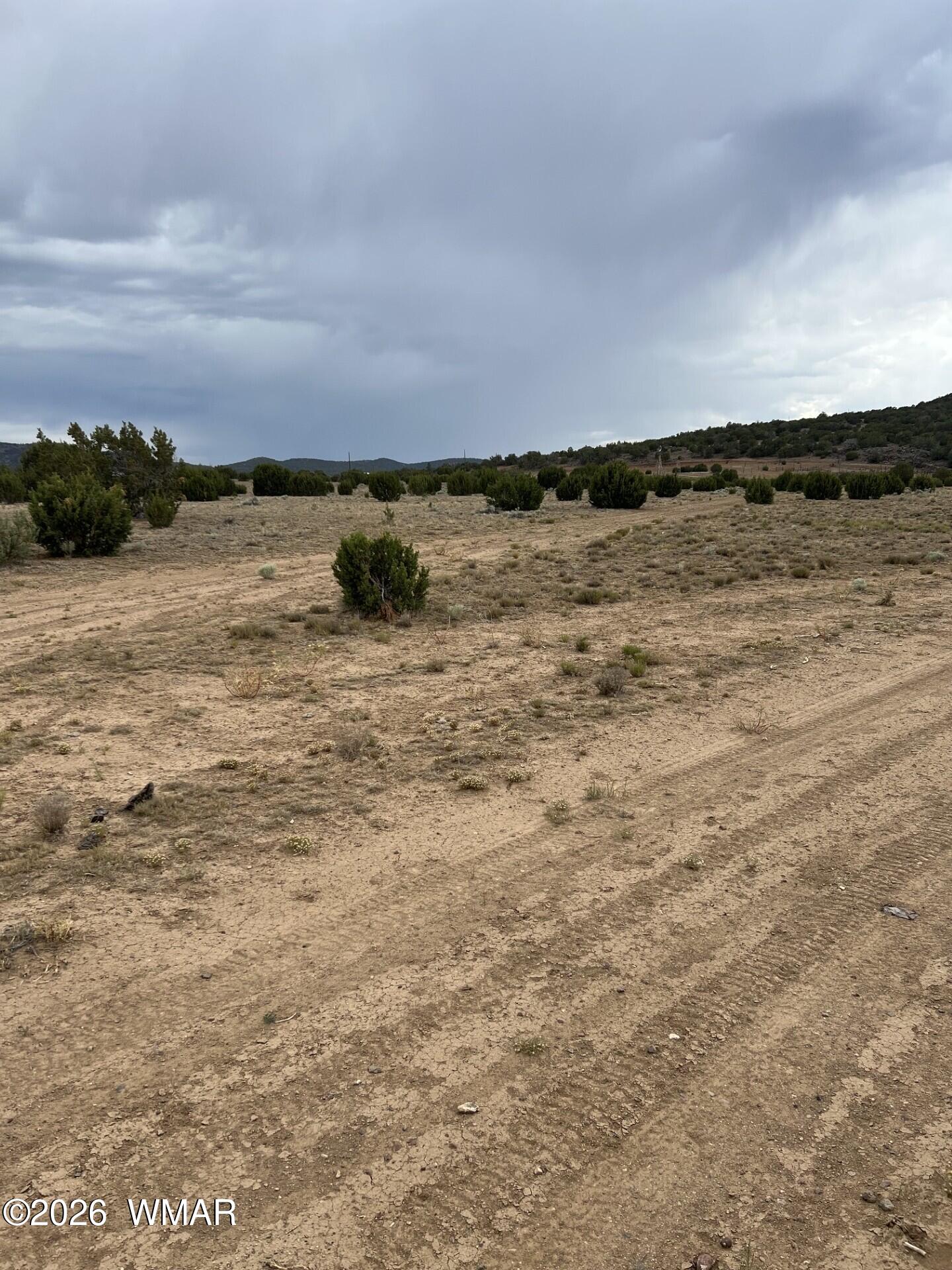 Tbd 8206 Concho, AZ 85924 - Photo 5 of 12