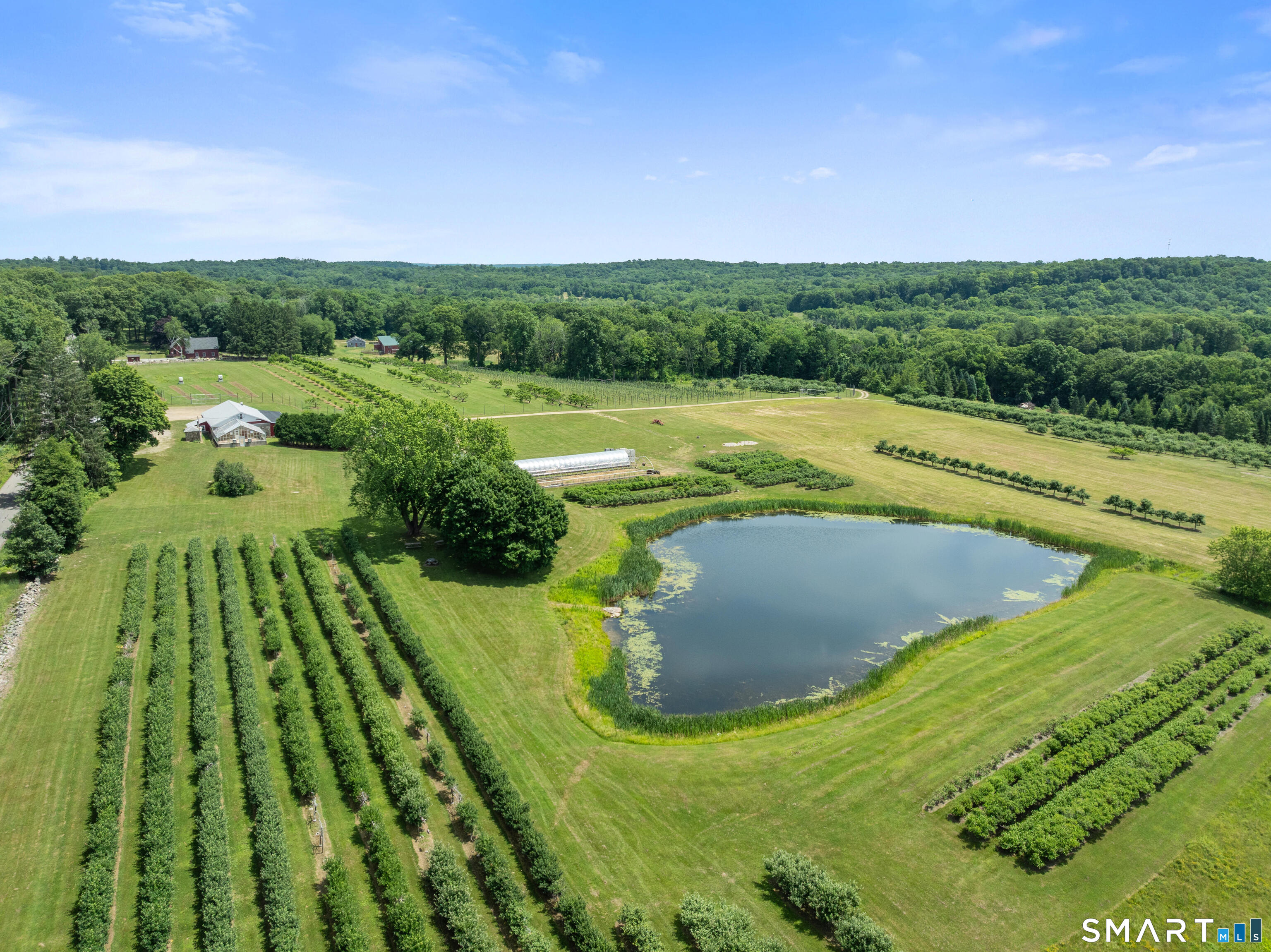 317 Bebbington Road Ashford, CT 06278 - Photo 7 of 40