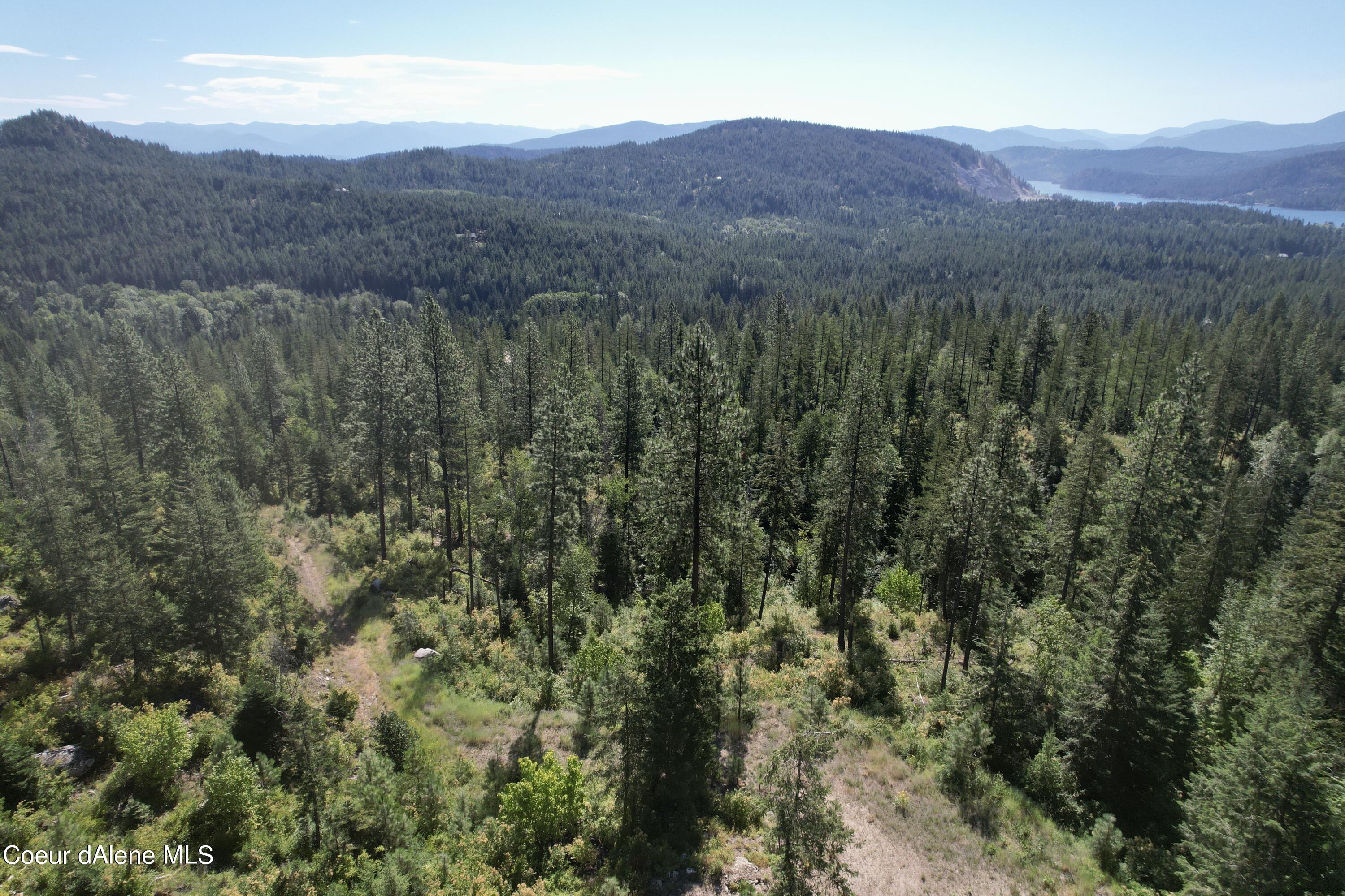 2500 Carr Creek Road Sandpoint, ID 83864 - Photo 12 of 20 Bonner 12.3 Heinrich 13