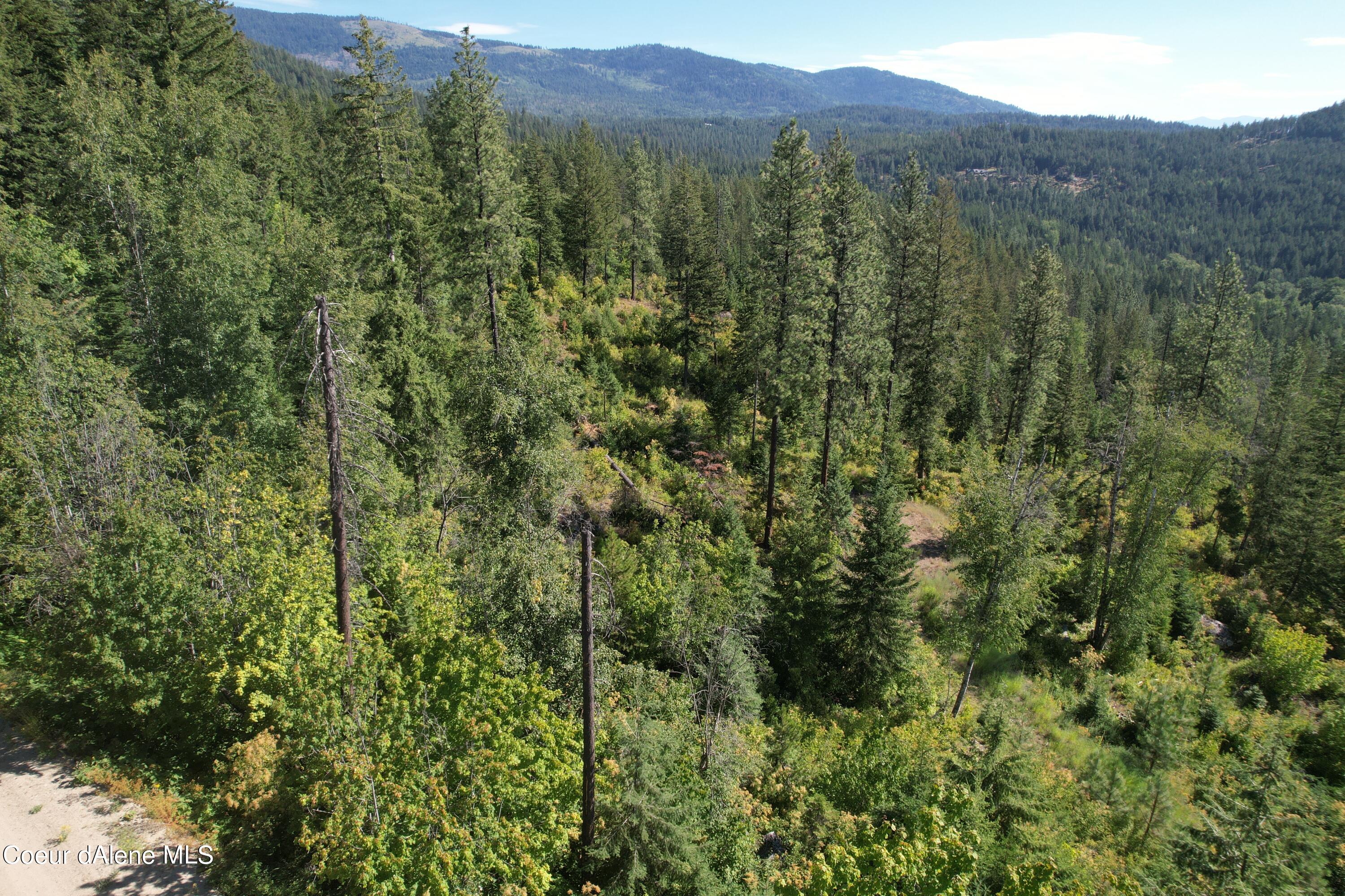 2500 Carr Creek Road Sandpoint, ID 83864 - Photo 13 of 20 Bonner 12.3 Heinrich 14