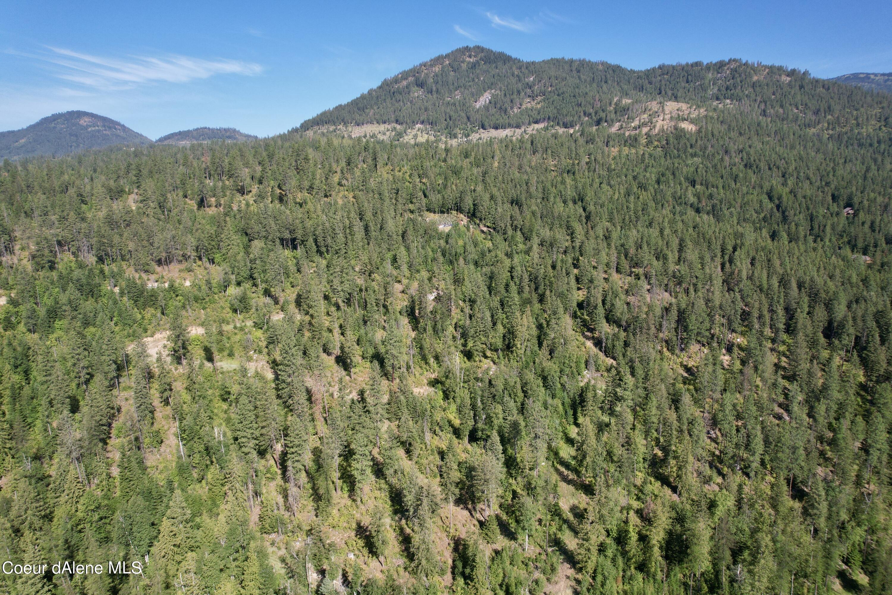 2500 Carr Creek Road Sandpoint, ID 83864 - Photo 15 of 20 Bonner 12.3 Heinrich 16