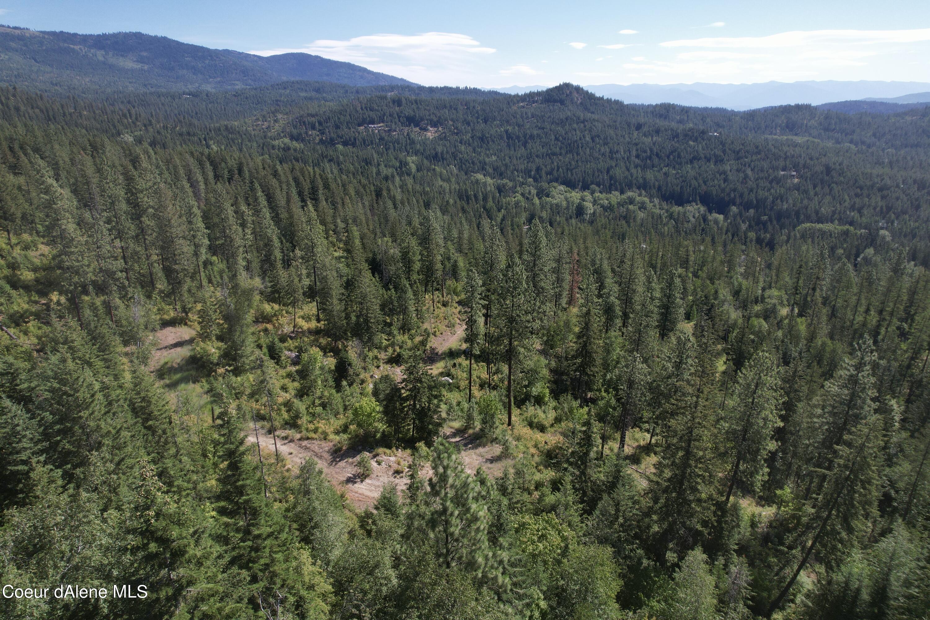 2500 Carr Creek Road Sandpoint, ID 83864 - Photo 3 of 20 Bonner 12.3 Heinrich 2