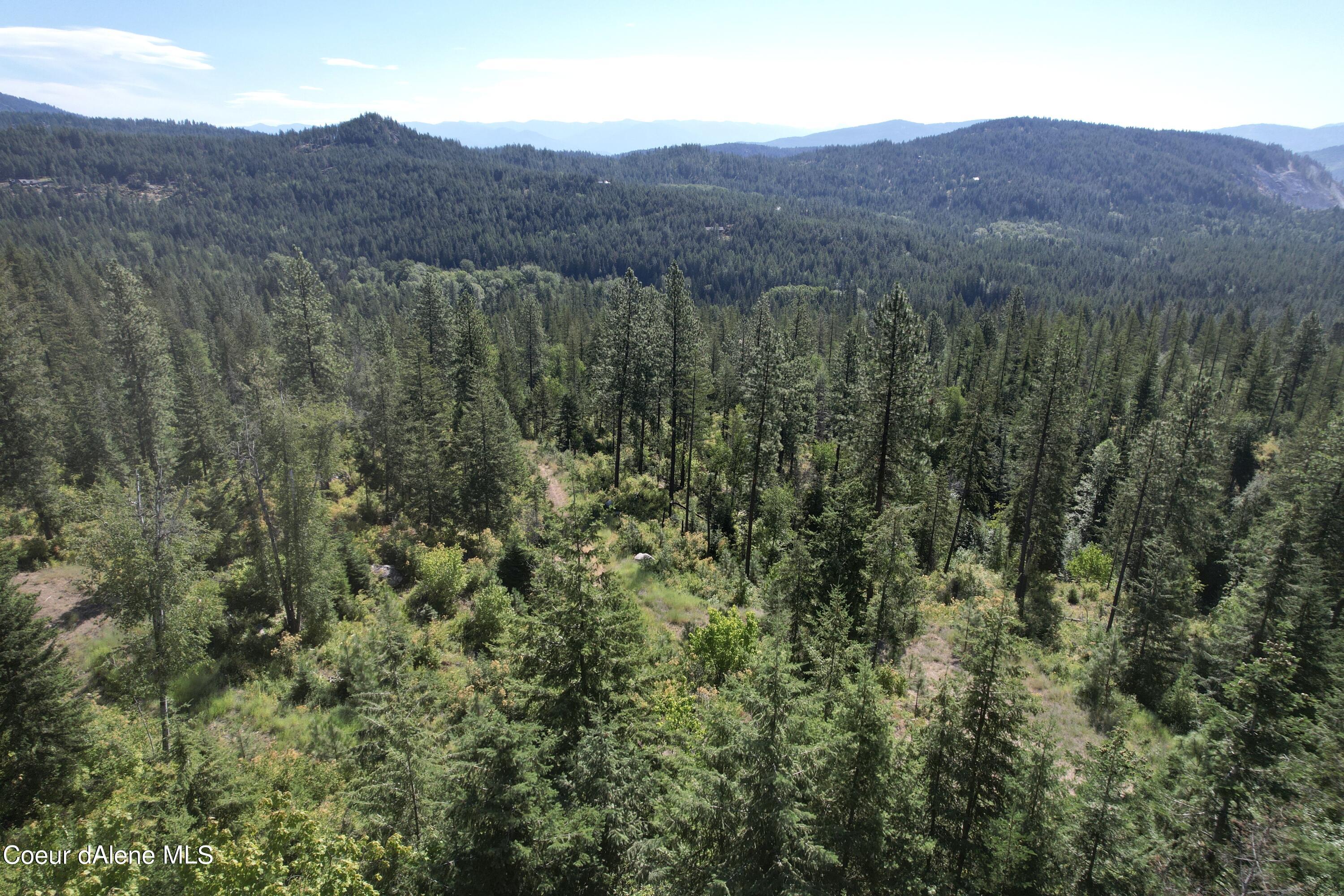 2500 Carr Creek Road Sandpoint, ID 83864 - Photo 6 of 20 Bonner 12.3 Heinrich 5