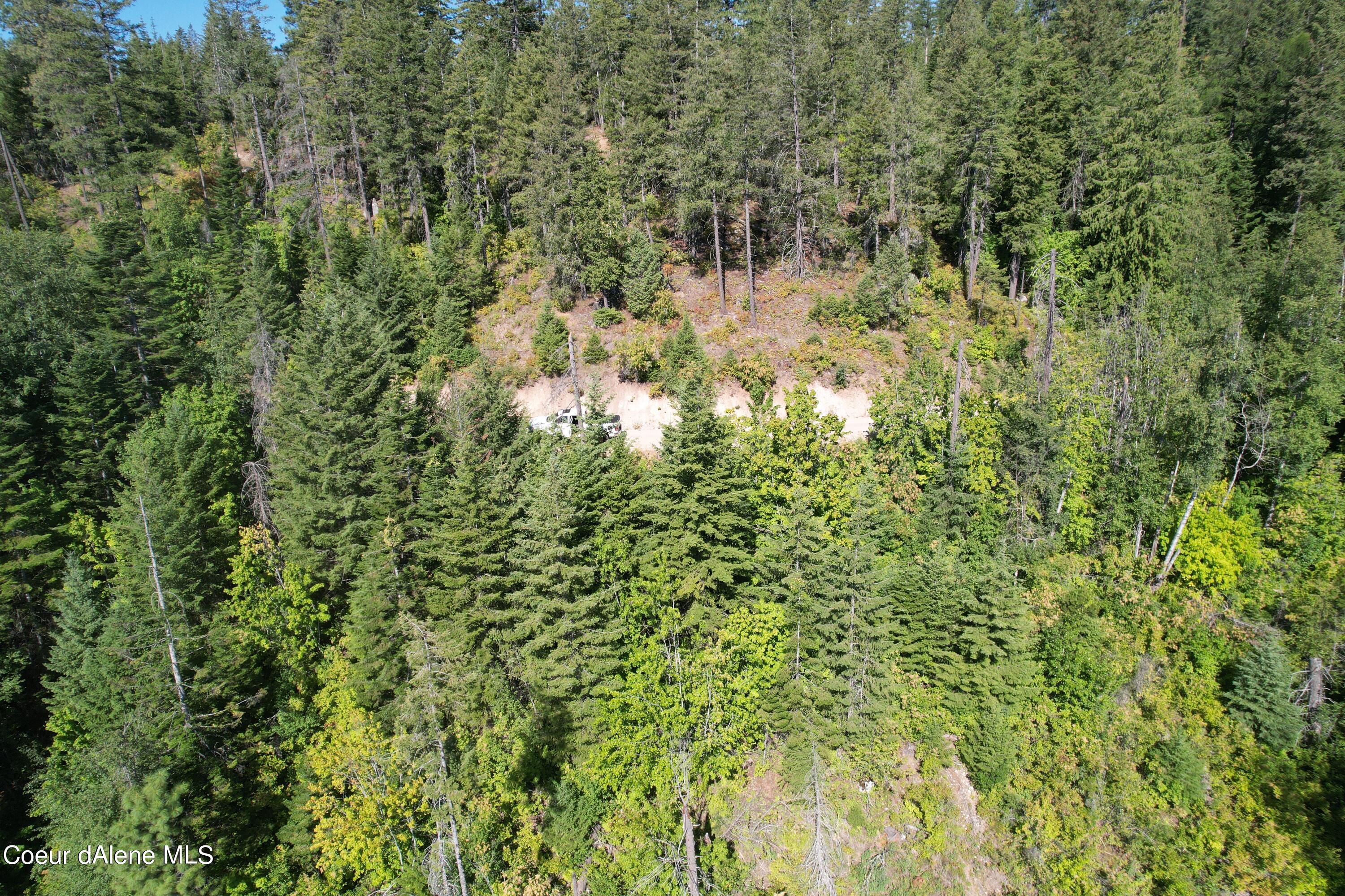 2500 Carr Creek Road Sandpoint, ID 83864 - Photo 9 of 20 Bonner 12.3 Heinrich 9