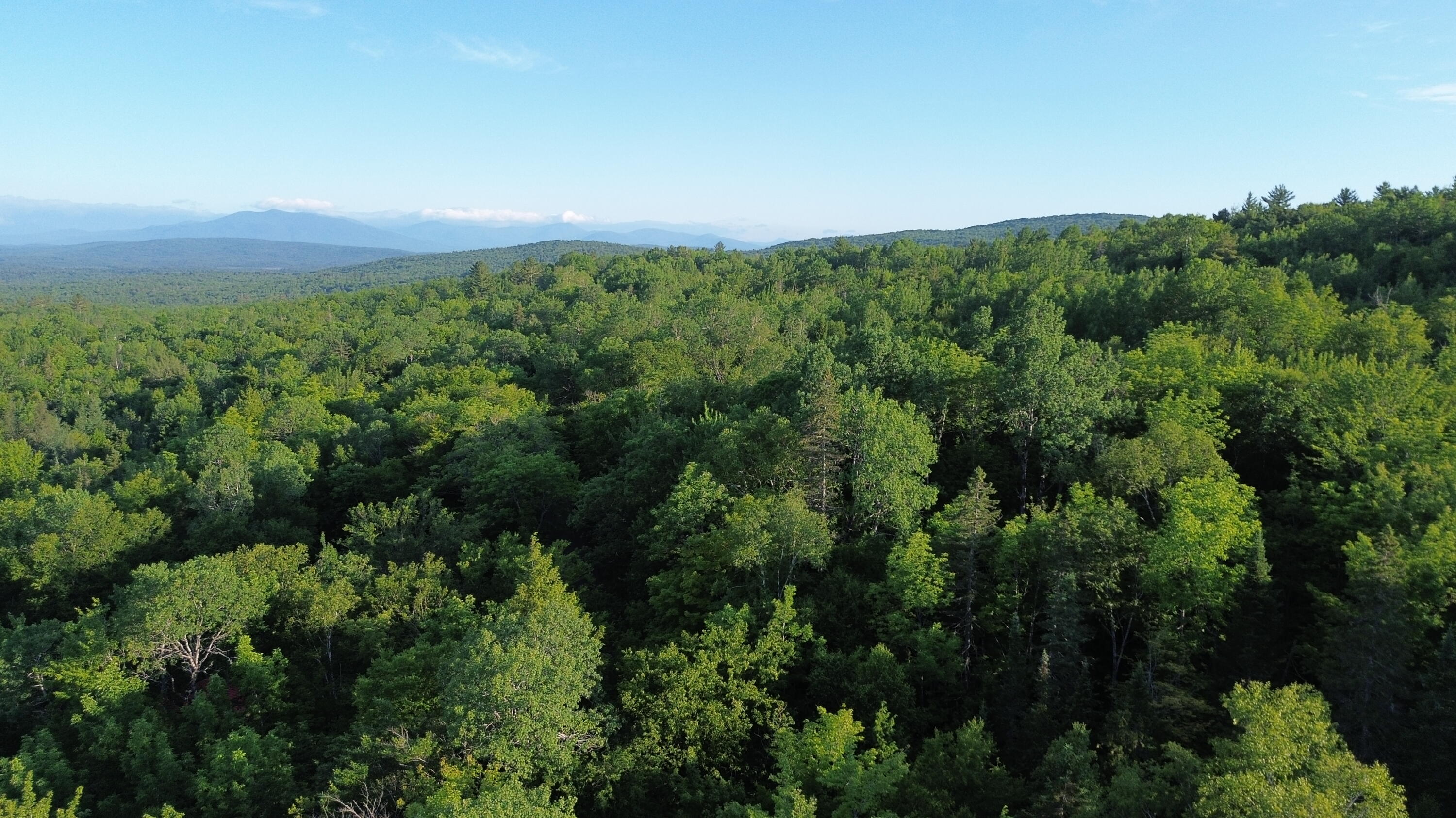 24a Anson Valley Road New Vineyard, ME 04956 - Photo 91 of 93 DJI_0105