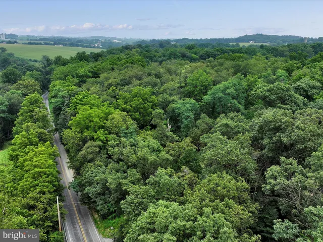 a view of a lush green forest with lots of trees