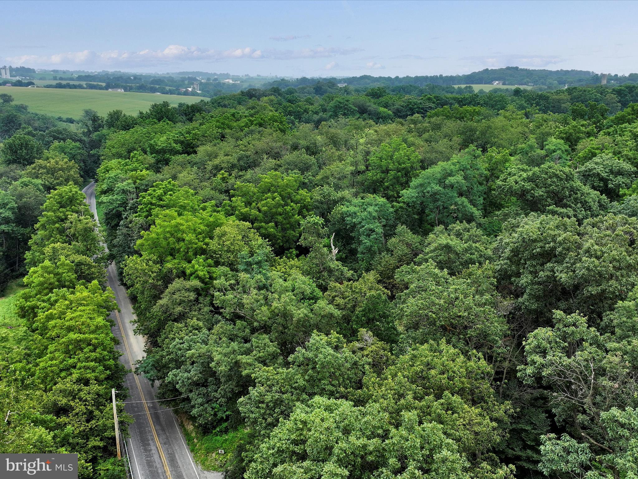 0 Back Run Road Manheim, PA 17545 - Photo 5 of 5 a view of a lush green forest with lots of trees