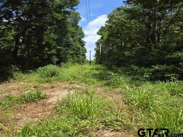 $75,000 | 154 Carthage Tx 75633, Carthage, TX 75633