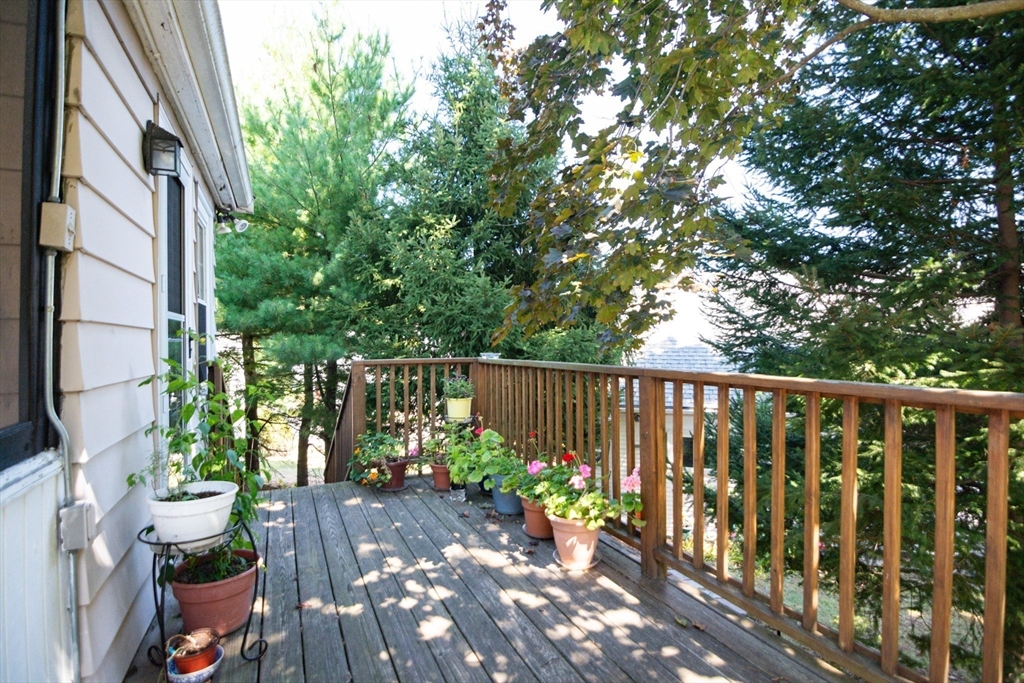 81 Prentice Street Waltham, MA 02451 - Photo 25 of 26