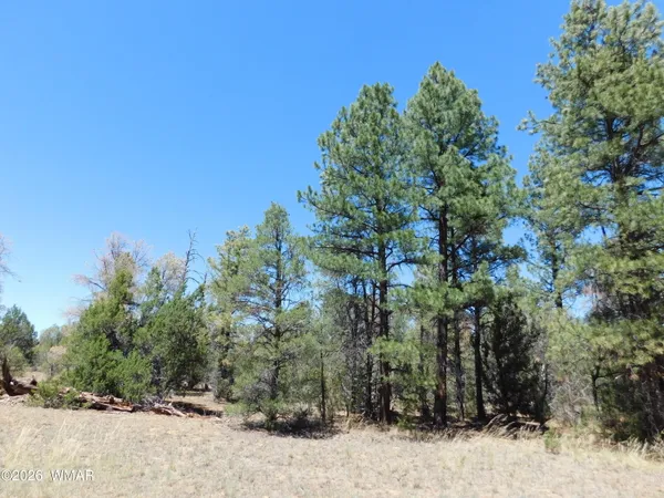 $89,900 | 3100 Pinewood Drive, Overgaard, AZ 85933