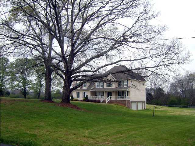 Primary Photo