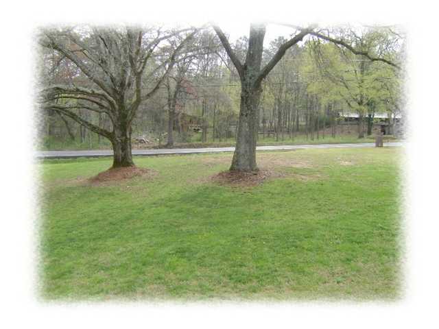4727 Alabama Road Apison, TN 37302 - Photo 20 of 25 Additional Photo