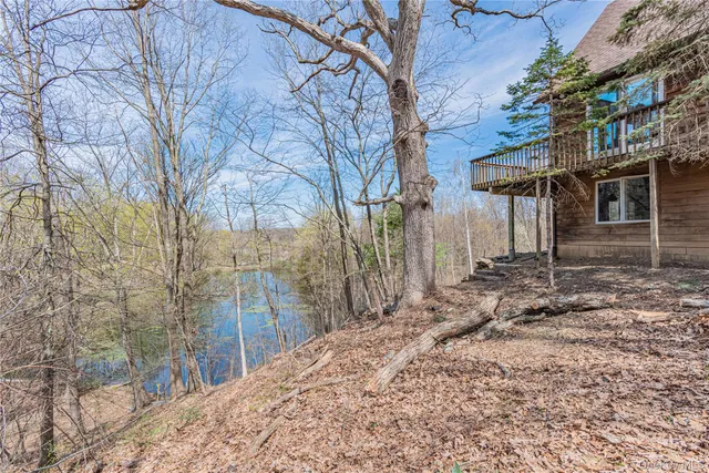 a view of a backyard with plants and large trees