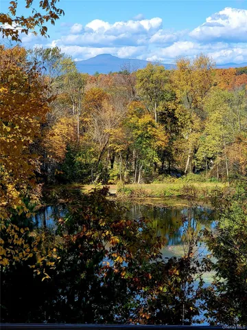 a backyard of a house with lots of trees