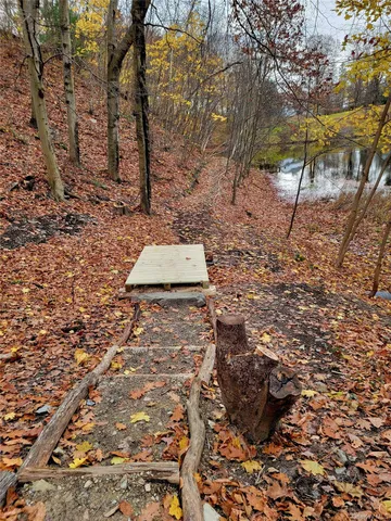 a view of a lake with lots of trees