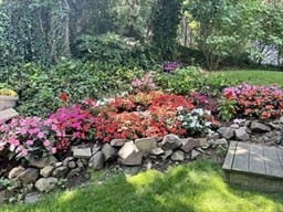 42 Locust Street Marblehead, MA 01945 - Photo 6 of 42 a view of a flower in a garden