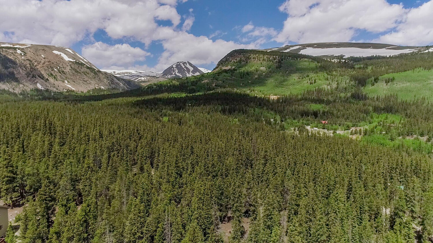 503 Golden Hills Road Fairplay, CO 80440 - Photo 11 of 36 View of mountain backdrop with a heavily wooded area